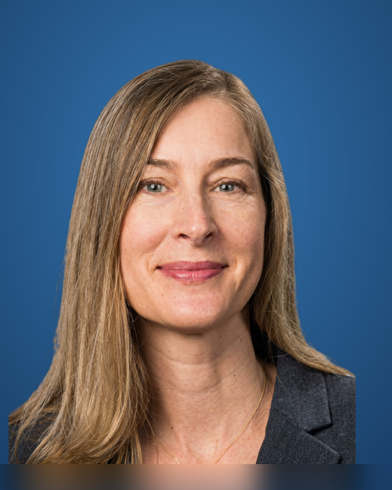 Portrait of Lisa E. Perkins
